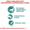 ROYAL CANIN Instinctive +7 w sosie karma mokra w sosie dla kotów starszych, wybrednych 85g