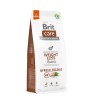 BRIT CARE Dog Hypoallergenic Weight Loss 1 kg
