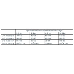 RAW PALEO Kitten Turkey and Chicken 6 kg