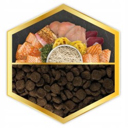 FORZECAN Complete Care Łosoś i ryż 15kg