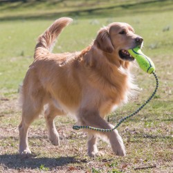 KONG AirDog Fetch Stick with rope L