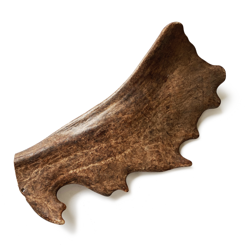 RECOSNACK Fallow deer antler/ gryzak z poroża daniela Rozmiar M - ok 76-150 g