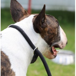 DINGO Smycz zaciskowa z linki Snake z regulowaną obrożą (1,2 cm x dł. 170 cm) - czarny