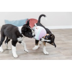 TRIXIE Junior, miś, dla szczeniąt, plusz 20cm