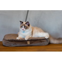 ZOLUX Poducha dla kota Chambord - jasny brąz