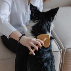 DINGO Szczotka serce z bambusową rączką 18,5 x 10 cm