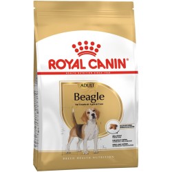 ROYAL CANIN Beagle Adult karma sucha dla psów dorosłych rasy beagle 12kg