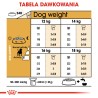 ROYAL CANIN Beagle Adult karma sucha dla psów dorosłych rasy beagle 12kg
