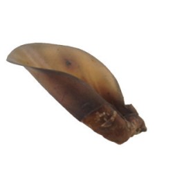 ABAKUS Ucho wołowe z mięsem - ciemne 1 szt.