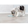 TRIXIE Junior Taca Mata do lizania - Licking Plate Lick’n'Snack 21cm