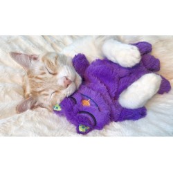 PETSTAGES Mrucząca poduszeczka