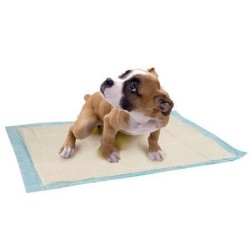 ZOLUX Maty absorbujące do nauki czystości 10 sztuk 45cm x 60cm (10szt.)