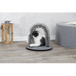 TRIXIE Szczotka zabawka dla kota 2 w 1