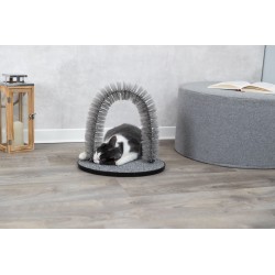 TRIXIE Szczotka zabawka dla kota 2 w 1