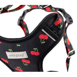 AMIPLAY Szelki Discovery Be Happy Cherry XL