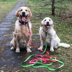 DINGO Smycz Treningowa z rączką Flex  - zielona 1,6 cm x 5 m