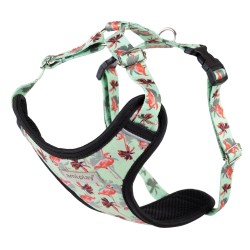 AMIPLAY Szelki Discovery Be Happy Flamingo XL