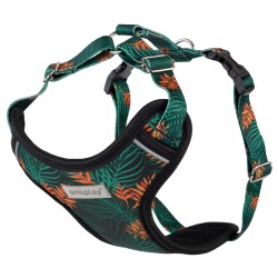 AMIPLAY Szelki Discovery Be Happy Jungle L