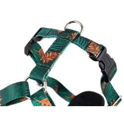 AMIPLAY Szelki Discovery Be Happy Jungle L