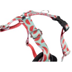 AMIPLAY Szelki Discovery Be Happy Watermelon S