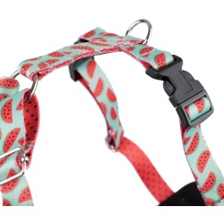 AMIPLAY Szelki Discovery Be Happy Watermelon XL