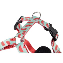 AMIPLAY Szelki Discovery Be Happy Watermelon XL