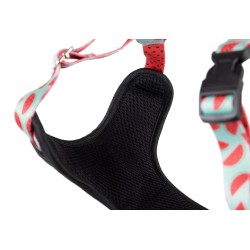 AMIPLAY Szelki Discovery Be Happy Watermelon XL