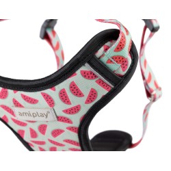 AMIPLAY Szelki Discovery Be Happy Watermelon XXL