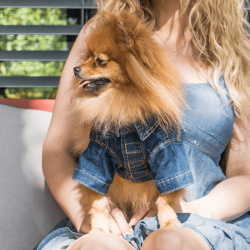 AMIPLAY Koszula Denim - granatowy 30 x 32 x 46 cm