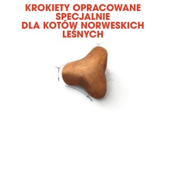 ROYAL CANIN Norwegian Forest Cat Adult karma sucha dla kotów dorosłych rasy norweski leśny 400g