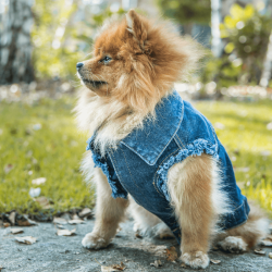 AMIPLAY Kurtka Denim - granatowy 45 x 45 x 64 cm