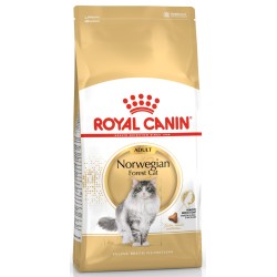 ROYAL CANIN Norwegian Forest Cat Adult karma sucha dla kotów dorosłych rasy norweski leśny 10 kg