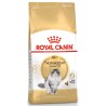 ROYAL CANIN Norwegian Forest Cat Adult karma sucha dla kotów dorosłych rasy norweski leśny 10 kg