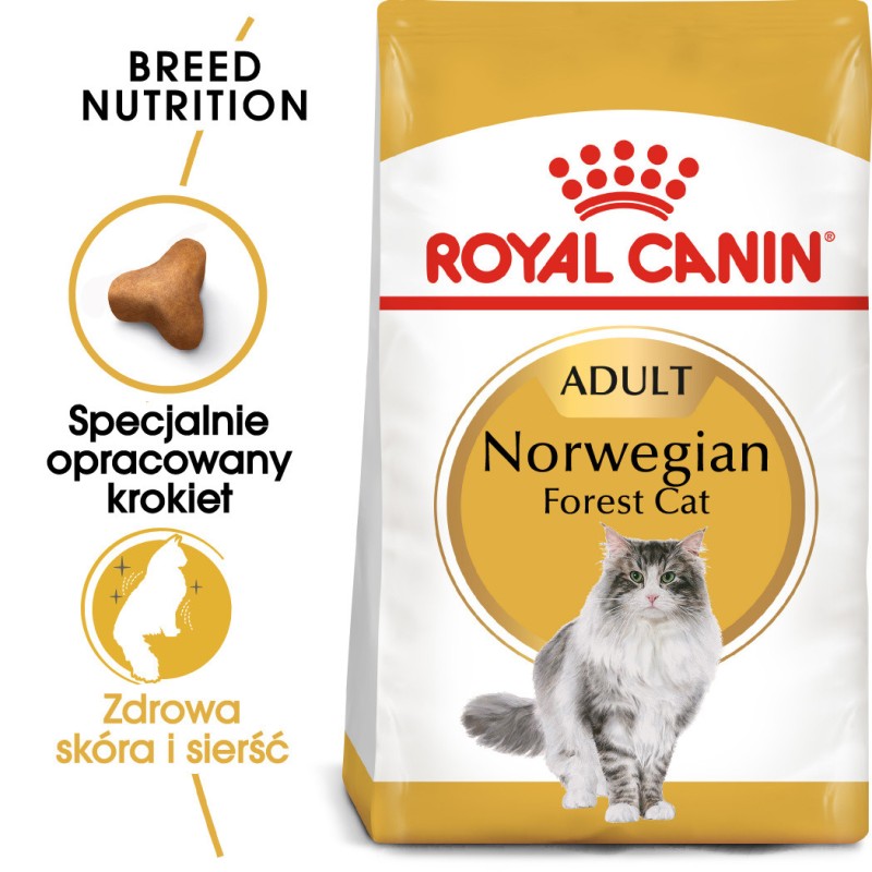 ROYAL CANIN Norwegian Forest Cat Adult karma sucha dla kotów dorosłych rasy norweski leśny 10 kg