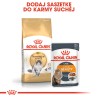 ROYAL CANIN Norwegian Forest Cat Adult karma sucha dla kotów dorosłych rasy norweski leśny 10 kg