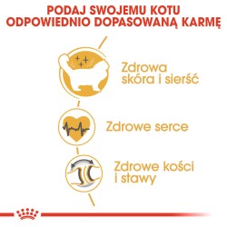 ROYAL CANIN Ragdol Adult karma sucha dla kotów dorosłych rasy ragdoll 400g