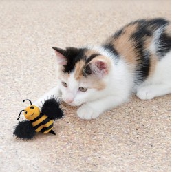 KONG Better Buzz Bee