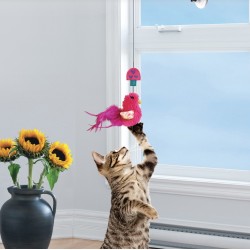 KONG Active Connects Window Teaser