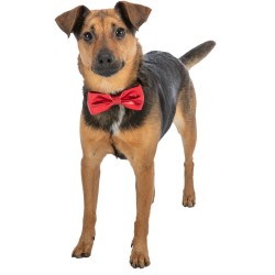 TRIXIE Xmas Muszka / kokardka dla psa 10 cm / 1 szt.