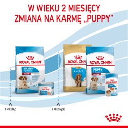 ROYAL CANIN SHN Medium Starter Mother and Babydog 15kg PROMO Uszkodzenie krótki termin