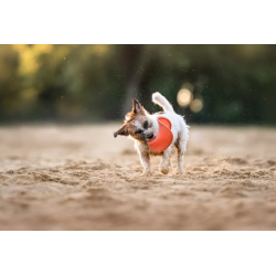 ECOMFY Zabawka Super Fly Dysk - musztardowy 18 cm