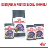 ROYAL CANIN FCN Appetite Control 3,5kg PROMO Uszkodzenie ubytek