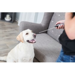 TRIXIE Wskaźnik treningowy (14 - 64 cm) - Target Stick Clicker