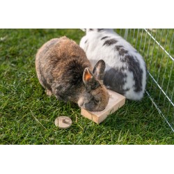 TRIXIE Snack cups zabawka edukacyjna, dla szczurów/królików drewno 14 x 3 x 7 cm