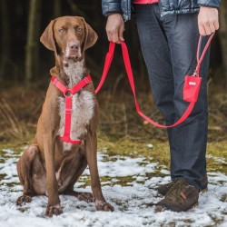 AMIPLAY Szelki regulowane Samba Step-in - Czerwony XS