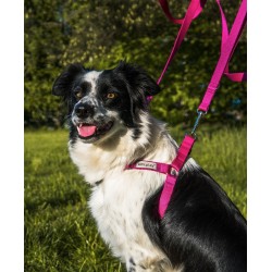 AMIPLAY Szelki regulowane Samba Step-in - Różowy L