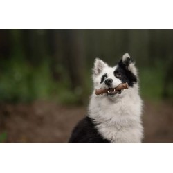 ECOMFY Zabawka Dental Stick 8 x 4 cm