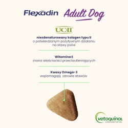 VETOQUINOL Flexadin Adult Dog 60 kąsków