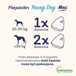 VETOQUINOL Flexadin Young Dog Maxi 60 kąsków