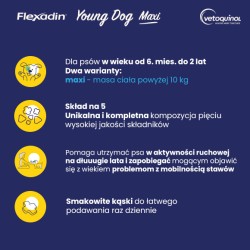 VETOQUINOL Flexadin Young Dog Maxi 60 kąsków